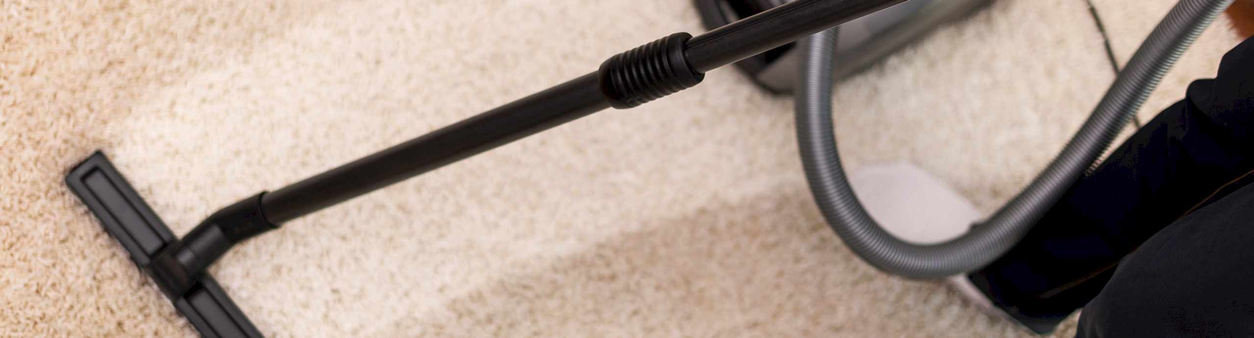 Evax Bilgi Halı Yıkama