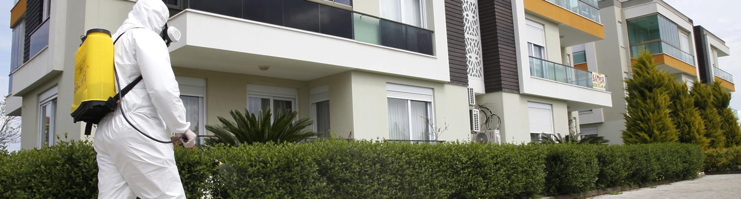 Gezbe Böcek İ̇̇̇̇̇̇̇̇̇̇̇̇̇̇̇̇̇̇̇̇̇̇̇̇laçlama Ve Dezenfeksiyon