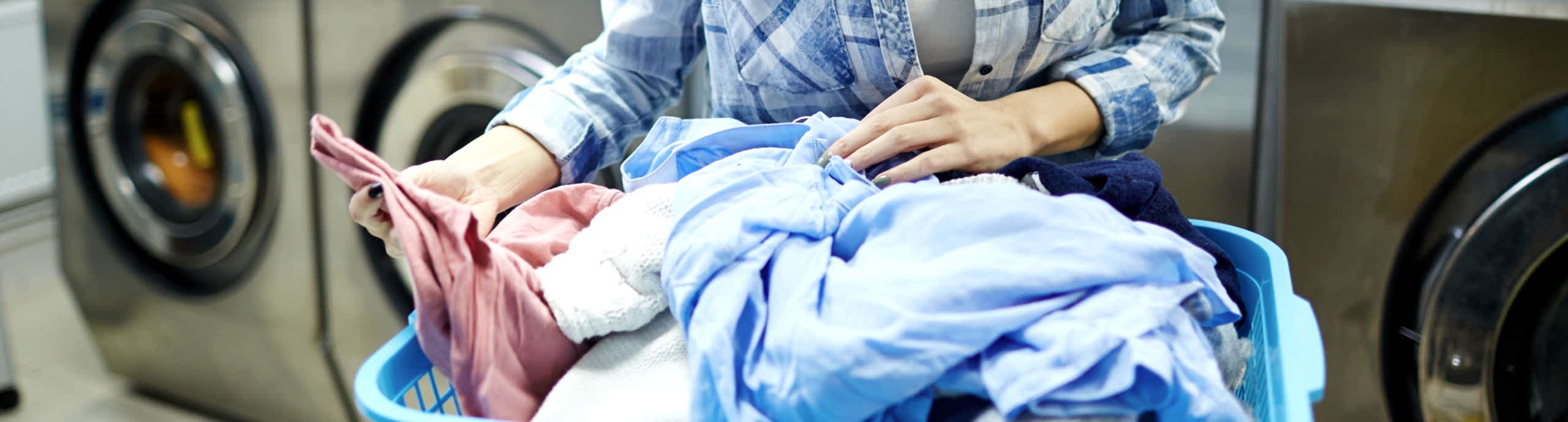 Dry Pak Kuru Temizleme Halı Koltuk Ve Perde Yıkama