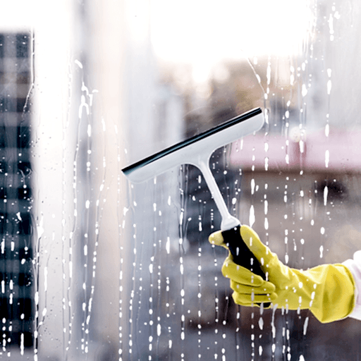 Cam Temizleme